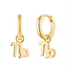 Stříbrné náušnice KOZOROH GOLD 9596